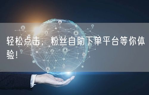 轻松点击，粉丝自助下单平台等你体验！