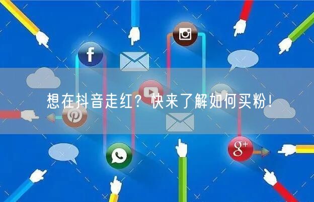 想在抖音走红？快来了解如何买粉！