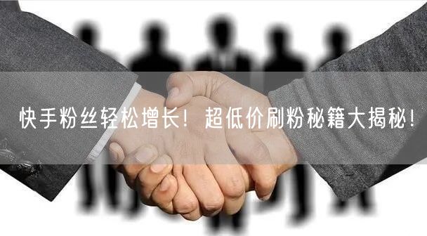 快手粉丝轻松增长！超低价刷粉秘籍大揭秘！