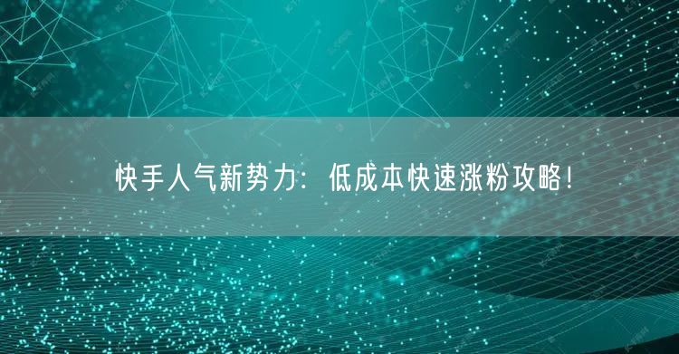 快手人气新势力：低成本快速涨粉攻略！