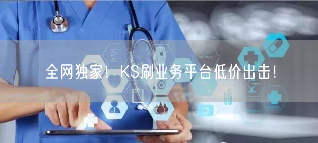 全网独家！KS刷业务平台低价出击！