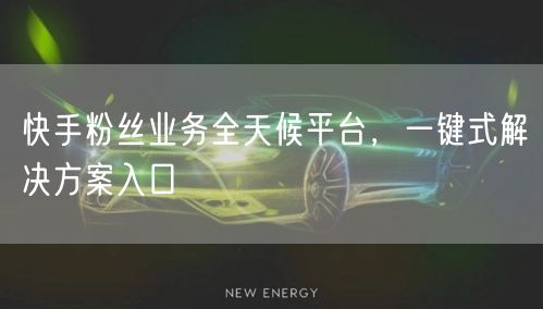 快手粉丝业务全天候平台，一键式解决方案入口