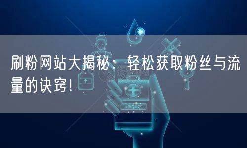 刷粉网站大揭秘：轻松获取粉丝与流量的诀窍！