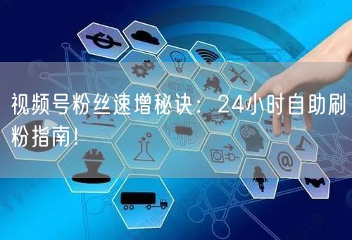 视频号粉丝速增秘诀：24小时自助刷粉指南！