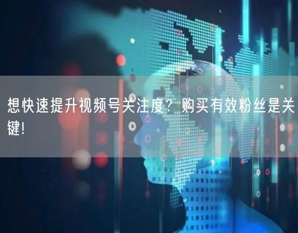 想快速提升视频号关注度？购买有效粉丝是关键!