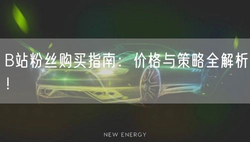 B站粉丝购买指南：价格与策略全解析！