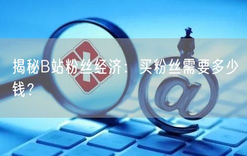 揭秘B站粉丝经济：买粉丝需要多少钱？