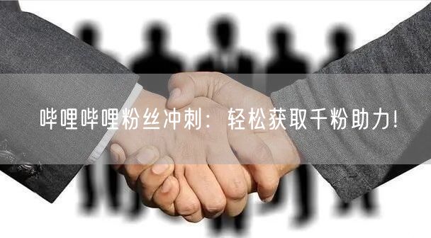 哔哩哔哩粉丝冲刺：轻松获取千粉助力！