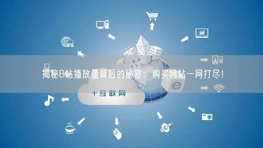揭秘B站播放量背后的秘密：购买网站一网打尽！