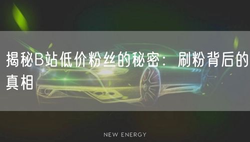 揭秘B站低价粉丝的秘密：刷粉背后的真相