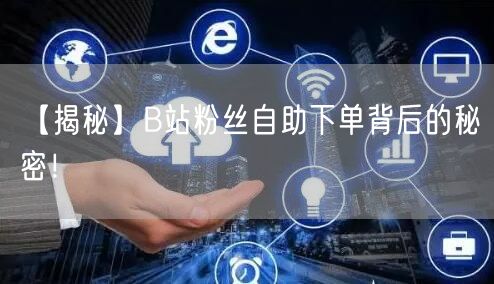 【揭秘】B站粉丝自助下单背后的秘密！