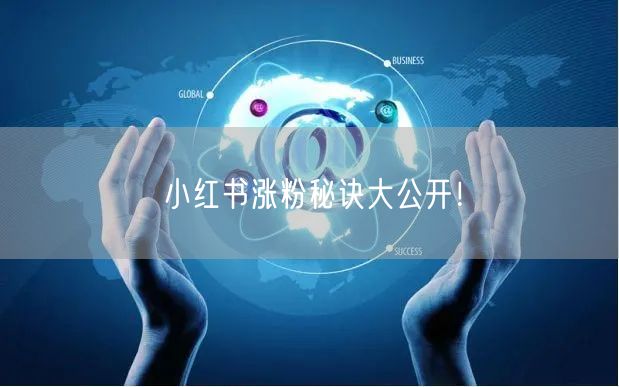 小红书涨粉秘诀大公开！