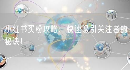 小红书买粉攻略：快速吸引关注者的秘诀！