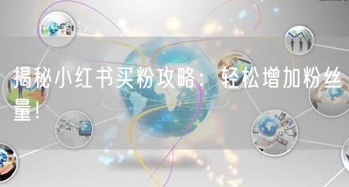 揭秘小红书买粉攻略：轻松增加粉丝量！