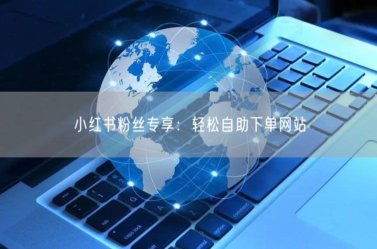 小红书粉丝专享：轻松自助下单网站