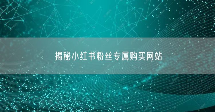 揭秘小红书粉丝专属购买网站