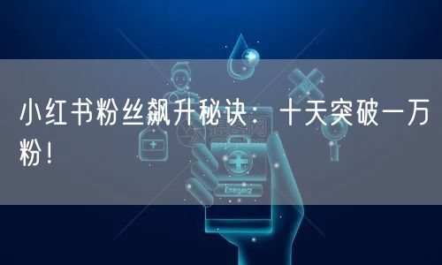 小红书粉丝飙升秘诀：十天突破一万粉！