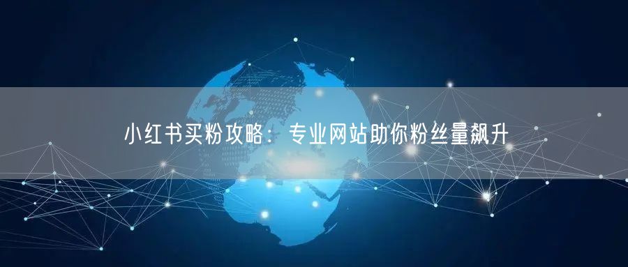小红书买粉攻略：专业网站助你粉丝量飙升