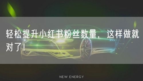 轻松提升小红书粉丝数量，这样做就对了！