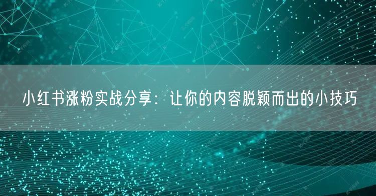 小红书涨粉实战分享：让你的内容脱颖而出的小技巧