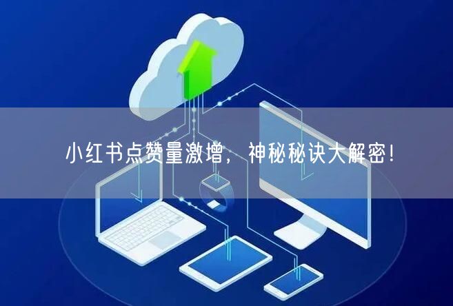 小红书点赞量激增，神秘秘诀大解密！