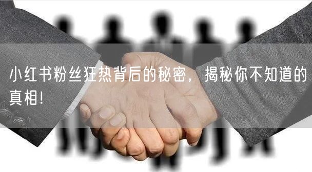 小红书粉丝狂热背后的秘密，揭秘你不知道的真相！