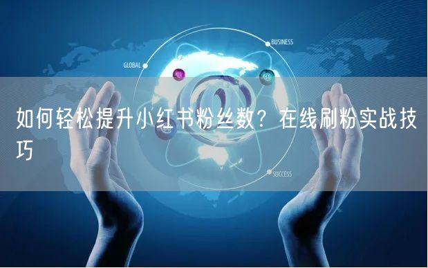 如何轻松提升小红书粉丝数？在线刷粉实战技巧
