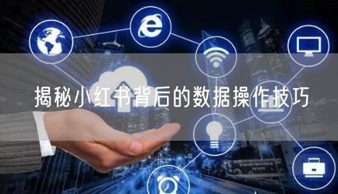 揭秘小红书背后的数据操作技巧