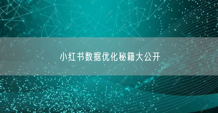 小红书数据优化秘籍大公开