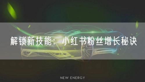 解锁新技能：小红书粉丝增长秘诀