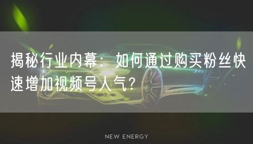 揭秘行业内幕：如何通过购买粉丝快速增加视频号人气？