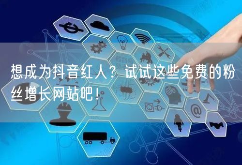 想成为抖音红人？试试这些免费的粉丝增长网站吧！