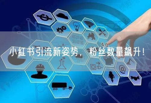 小红书引流新姿势，粉丝数量飙升！