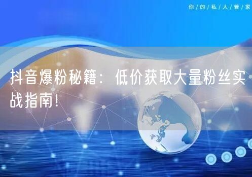 抖音爆粉秘籍：低价获取大量粉丝实战指南！
