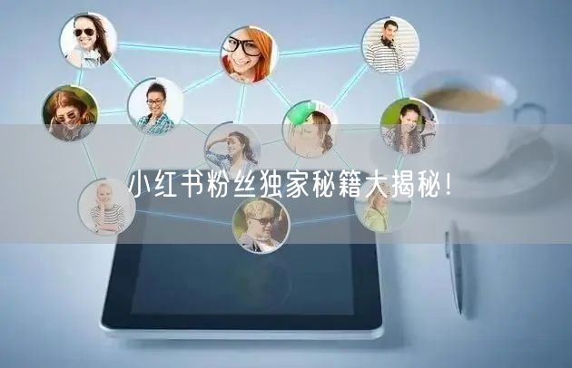 小红书粉丝独家秘籍大揭秘！