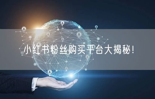 小红书粉丝购买平台大揭秘！