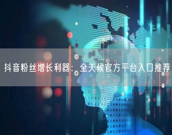 抖音粉丝增长利器：全天候官方平台入口推荐