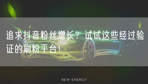 追求抖音粉丝增长？试试这些经过验证的刷粉平台！
