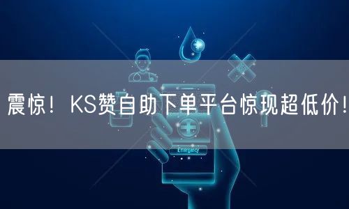 震惊！KS赞自助下单平台惊现超低价！
