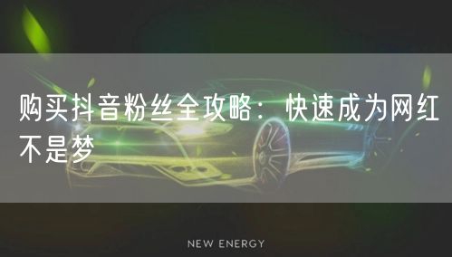 购买抖音粉丝全攻略：快速成为网红不是梦