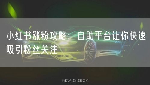 小红书涨粉攻略：自助平台让你快速吸引粉丝关注