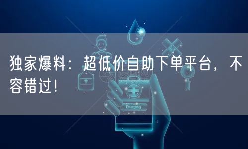 独家爆料：超低价自助下单平台，不容错过！