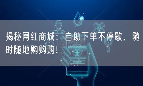 揭秘网红商城：自助下单不停歇，随时随地购购购！
