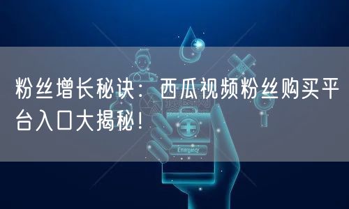 粉丝增长秘诀：西瓜视频粉丝购买平台入口大揭秘！