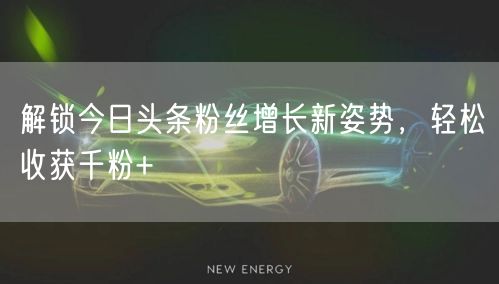 解锁今日头条粉丝增长新姿势，轻松收获千粉+