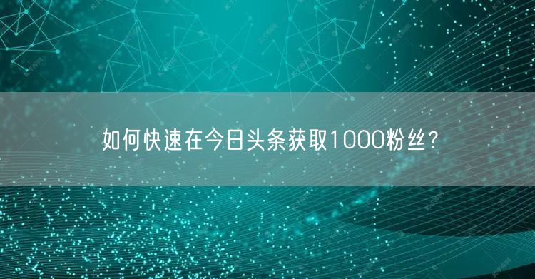 如何快速在今日头条获取1000粉丝？