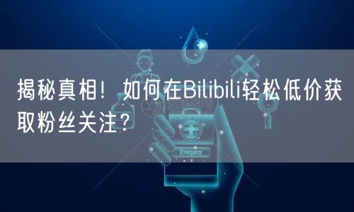 揭秘真相！如何在Bilibili轻松低价获取粉丝关注？