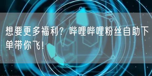 想要更多福利？哔哩哔哩粉丝自助下单带你飞！