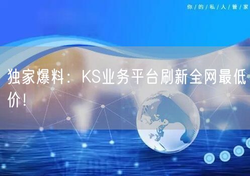 独家爆料：KS业务平台刷新全网最低价！