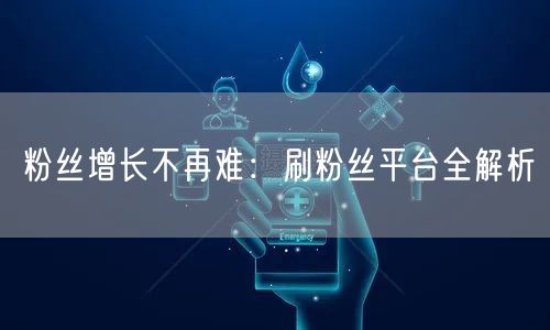 粉丝增长不再难：刷粉丝平台全解析